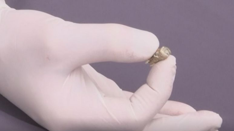 Gürcistan’da 1,8 milyon yıl öncesine ait insan azı dişi kalıntısı bulundu