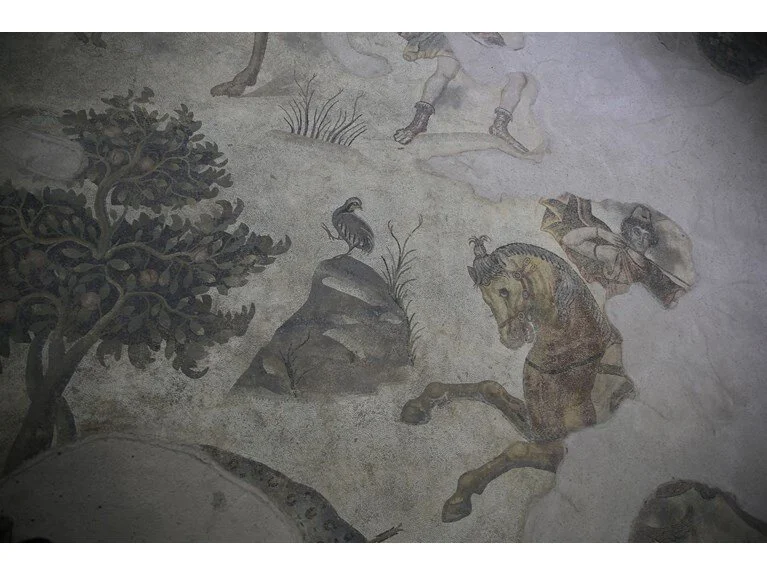 Aşil’in hayatı ve savaşçı Amazon kadınlarının mozaikleri Şanlıurfa’da