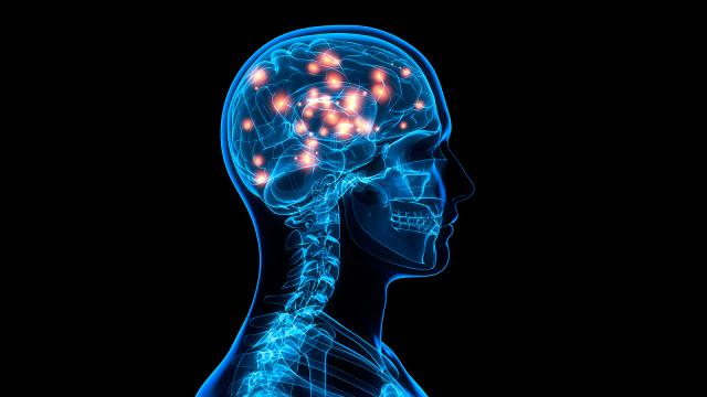 Nörologlar en genç Alzheimer hastasını teşhis etti