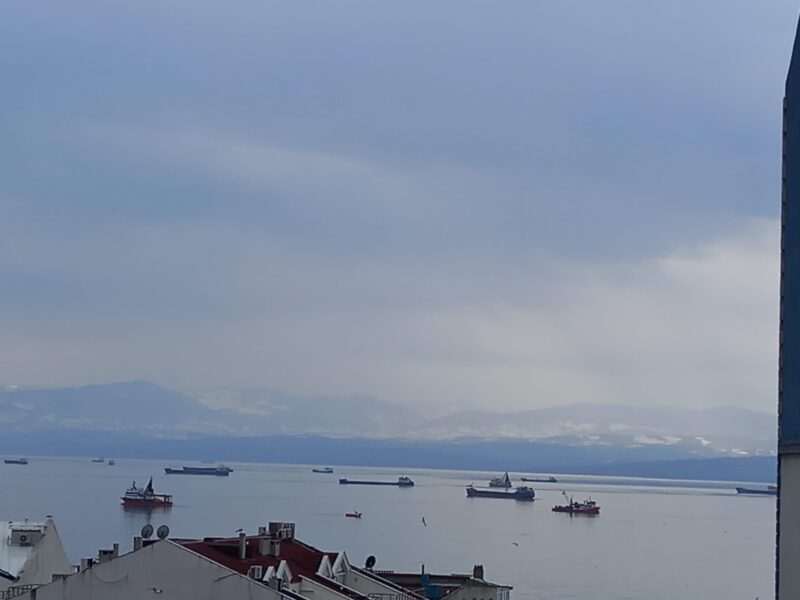 Sinop’ta İstavrit Limana Sığındı(Özel Haber)