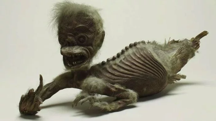 300 yıllık deniz kızı mumyasının sırrı çözüldü