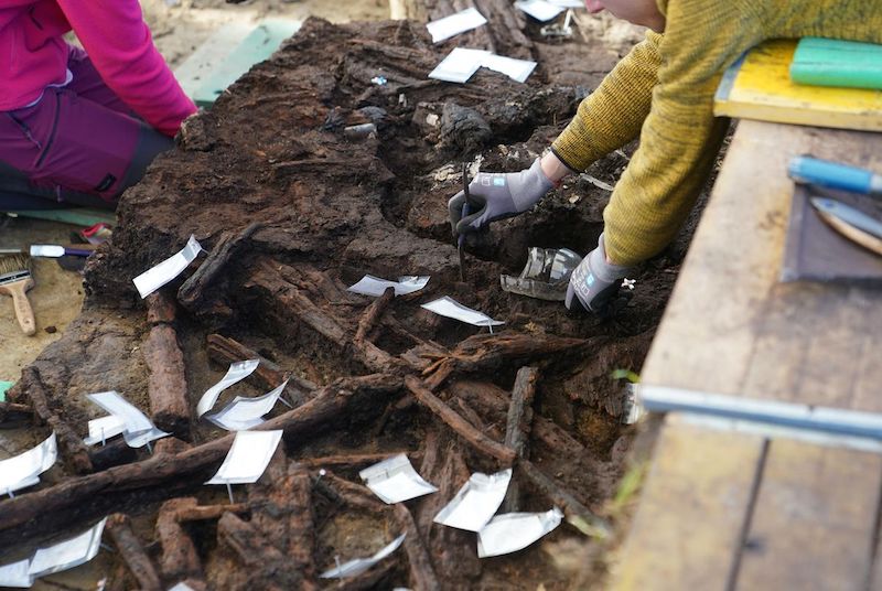 Almanya’da Mezolitik Kampta Bataklık Kemikleri Keşfedildi