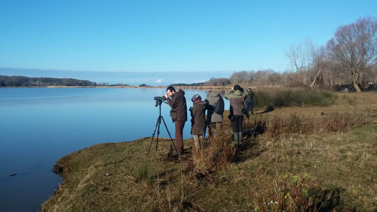 Kış ortası su kuşu sayımları devam ediyor
