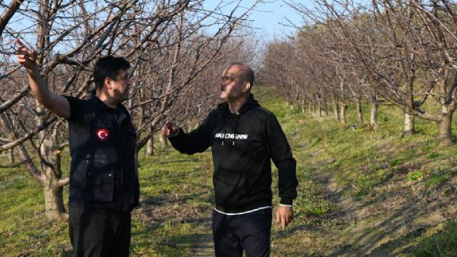 Lapseki’de meyve bahçeleri incelendi