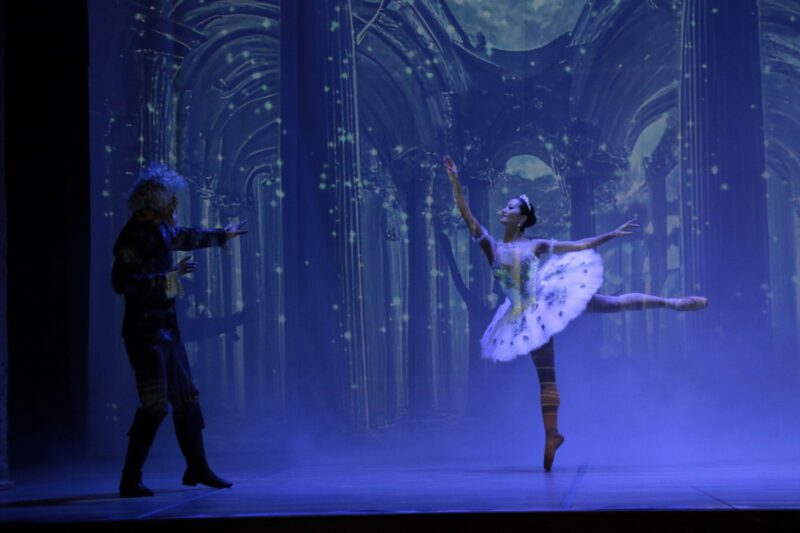 Mersin Devlet Opera ve Balesi, Don Kişot balesini sahneleyecek