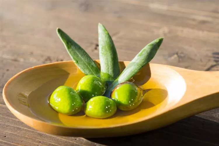 En Sağlıklı 8 Yağ