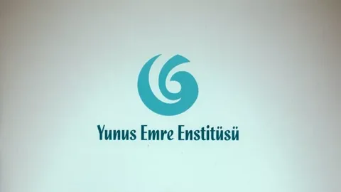 Yunus Emre Enstitüsü’nün hedefi tüm dünyayı 100 kültür ağıyla örmek