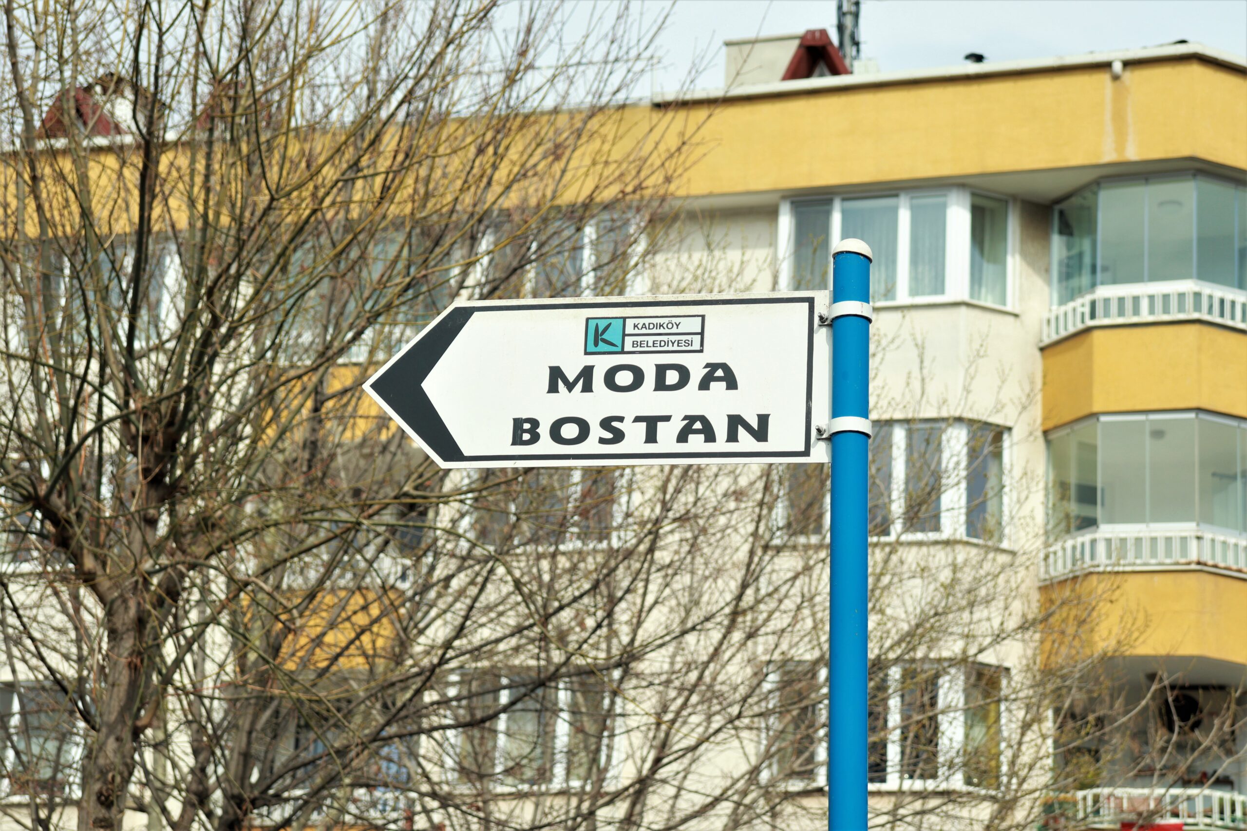 Şehrin Merkezi Kadıköy’de Bir Bostan Bahçesi(Özel Haber)