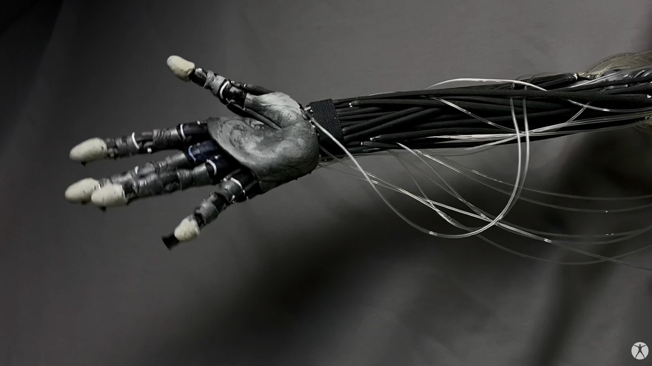 İnsanları Klonlamaya Adeta And İçen Şirket, Ultra Gerçekçi Robotik Kol Geliştirdi