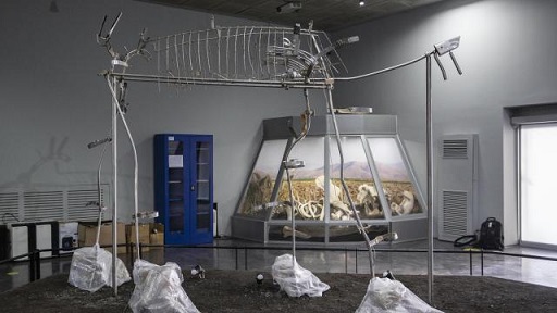 Depremde zarar görmeyen 3 bin 500 yıllık ‘Maraş Fili’ korumaya alındı