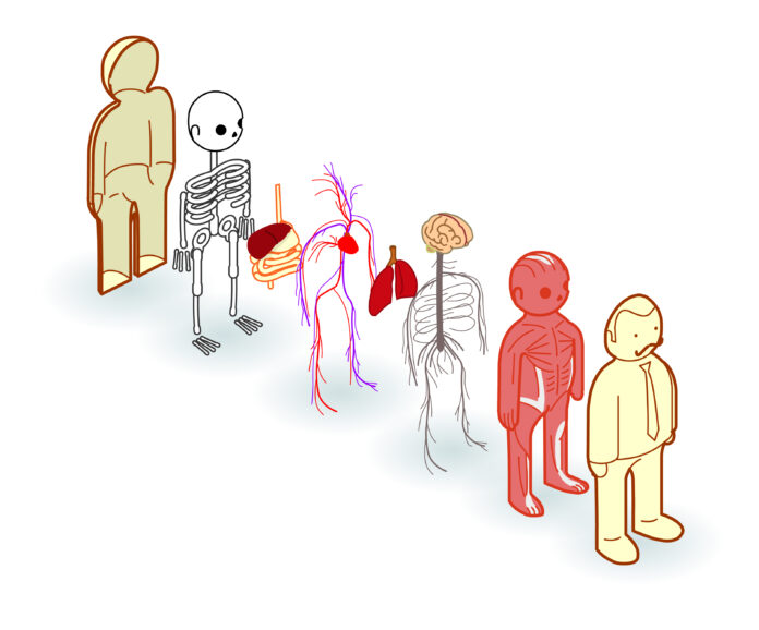 Vücudumuzda Hangi Elementler Var?