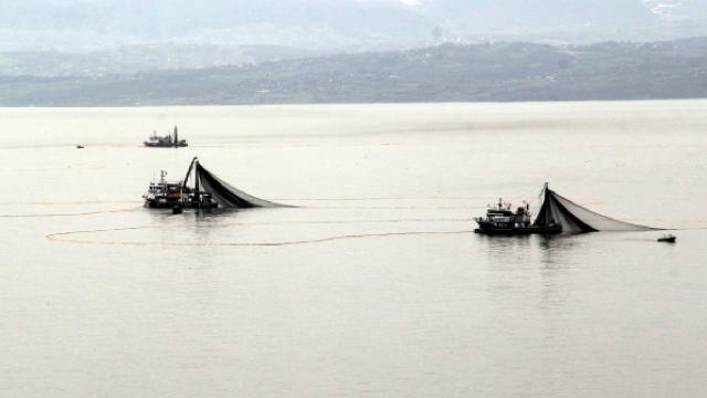 Sinop’ta balıkçılar sezondan memnun