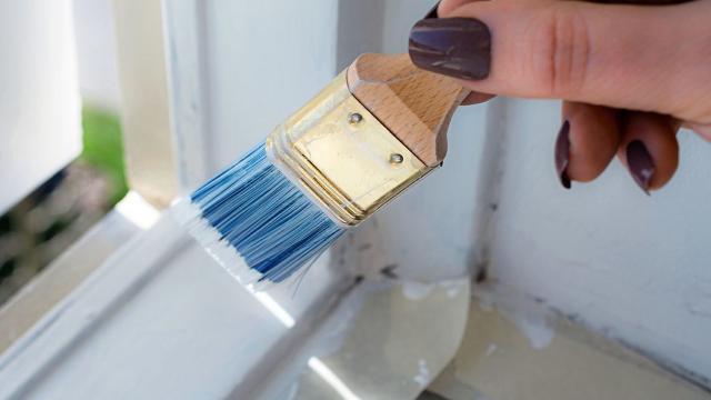 Bilim insanları dünyanın en hafif boyasını üretti