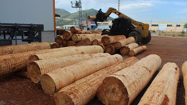 Artvin’de kadınların ürettiği keresteler Avrupa ve Ortadoğu ülkelerine ihraç ediliyor