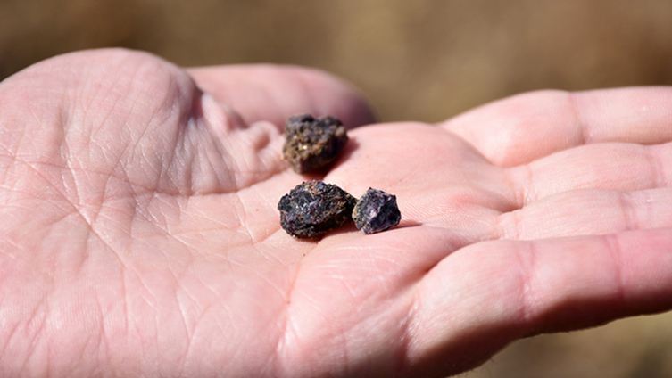 Eskişehir Nadir Toprak Elementi Tesisi açıldı