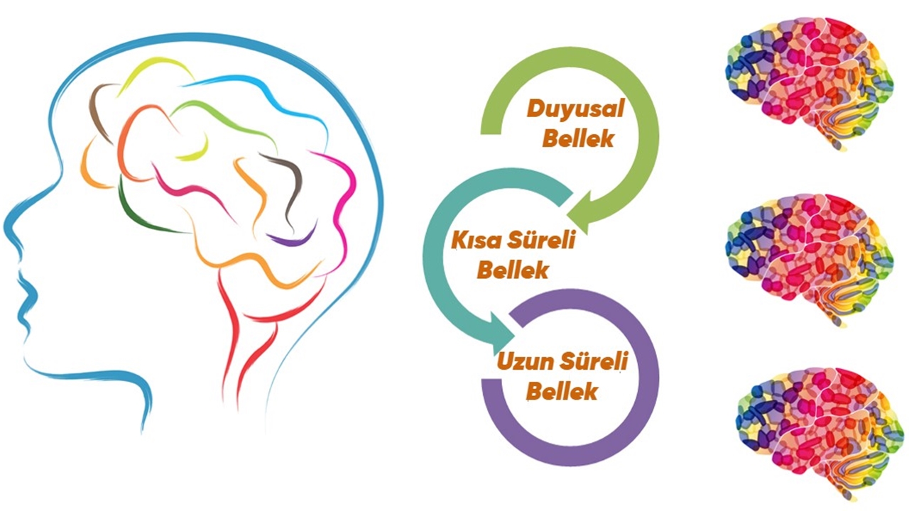 Bir Şey Unuttuğumuzu Fark Etsek Bile Neyi Unuttuğumuzu Neden Hatırlamıyoruz?