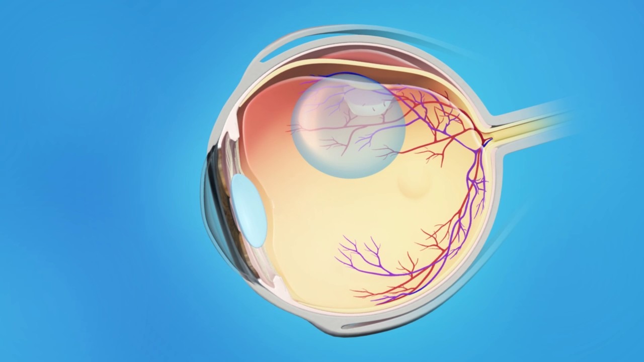 Gözlerimizi Ovuşturduğumuzda Aniden Beliren Tuhaf Renk ve Şekillerin Ardında Ne Gibi Sırlar Yatıyor?