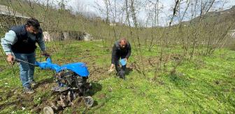 Fındıkta bilinçli gübre kullanımı verimi ikiye katladı