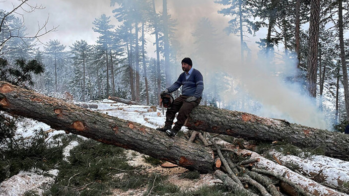 Kastamonu’da ormancıların zorlu mesaisi