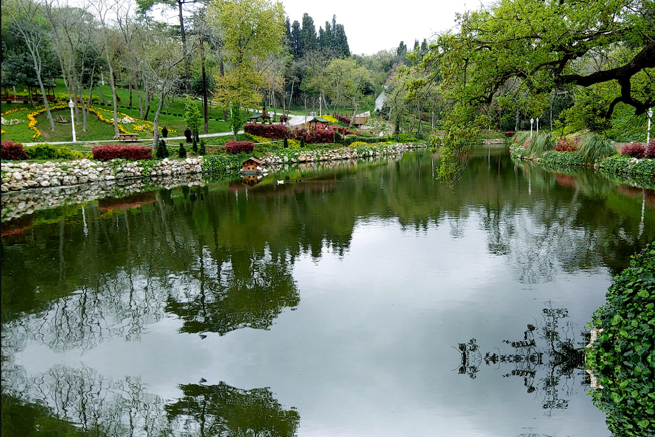 Beşiktaş’ın Yıldız Korusu Baharla Birlikte Rengârenk Oldu(Özel Haber)
