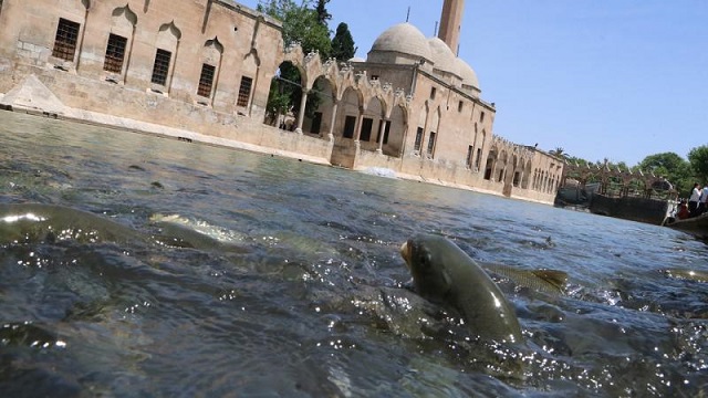 Balıklıgöl’de suyun rengi normale döndü