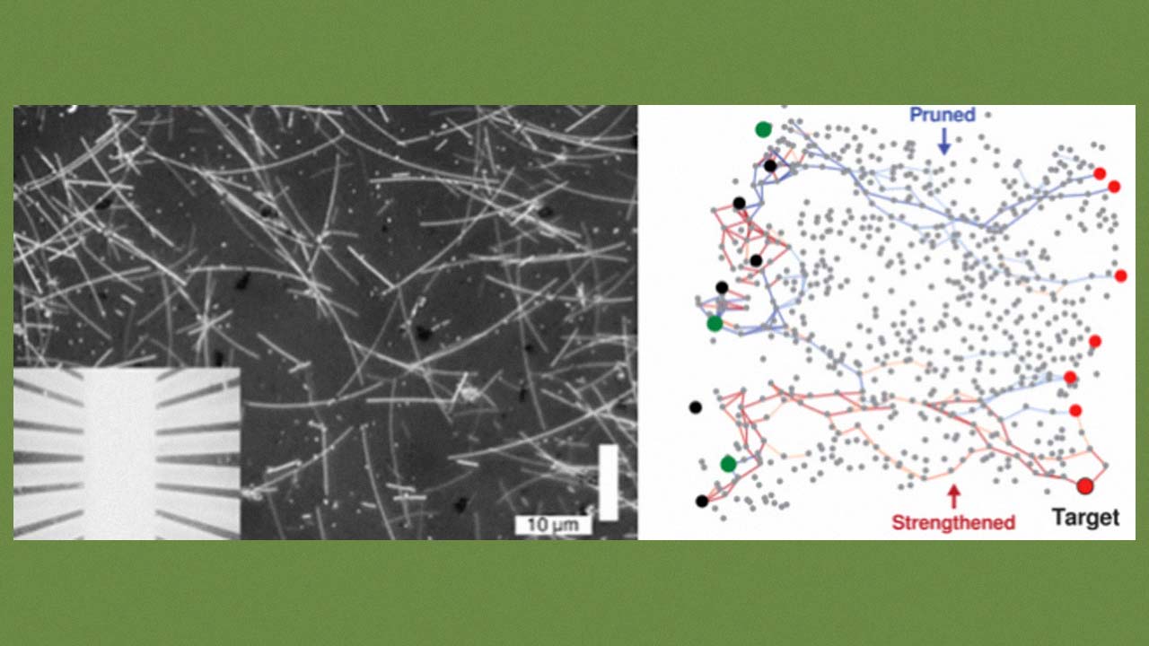 Gümüş Tellerin İnsan Beyni Gibi Öğrendiği ve Hafıza Oluşturduğu Keşfedildi (Evet, Bildiğimiz Tel)