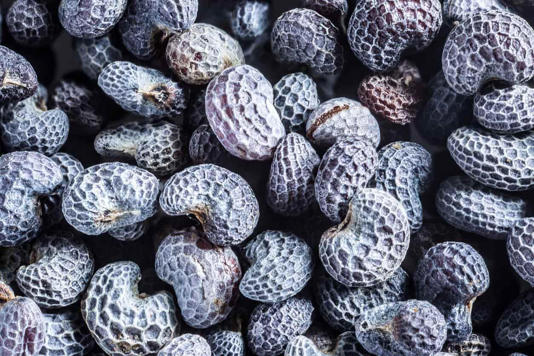 Vücudu tıka basa Omega-3 dolduruyor!..