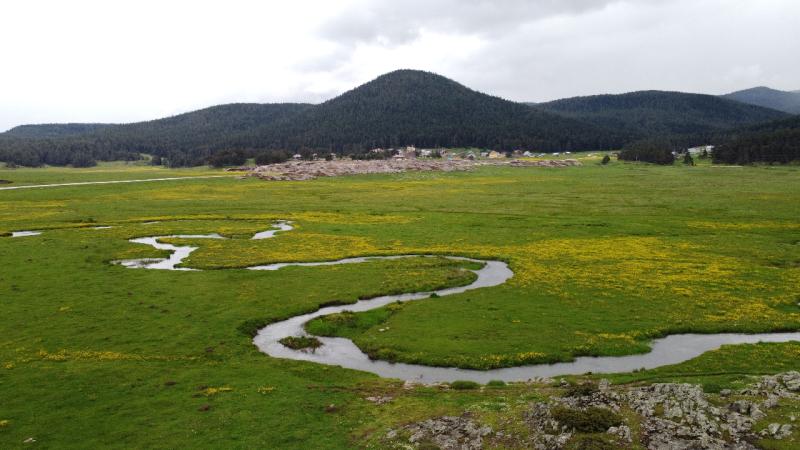 Sarıalan Yaylası, menderesler ve kır çiçeklerinin ahengiyle süslendi