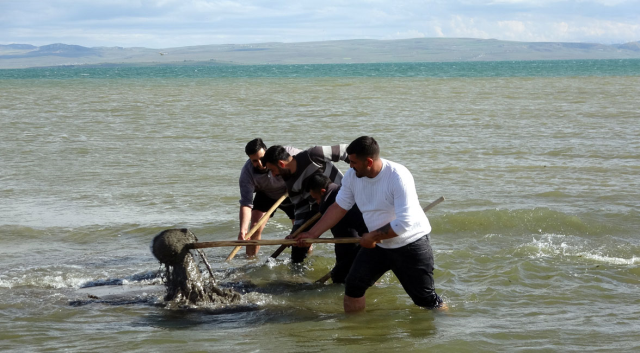 Van halkı inci kefalleri için seferber oldu!