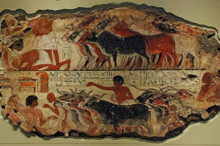 Güzel Konuşan Köylü Hikayesi ve Mısır Adaleti