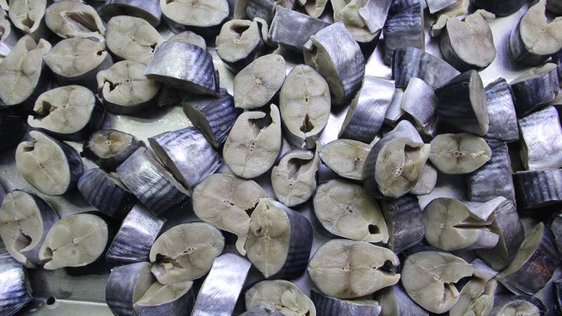 Sinop’ta balıkçılarca yapılan “lakerda” coğrafi işaret tescil belgesi aldı