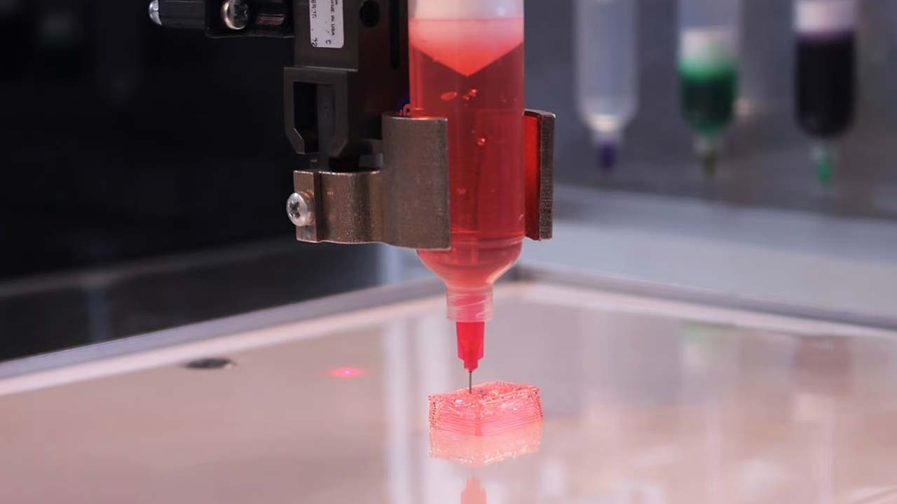 Organ Kıtlığına Çözüm İçin Büyük Adım: Sıcaklıkla Sertleşen Biyolojik Mürekkep Geliştirildi