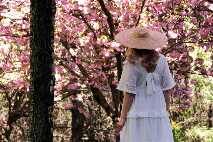 Ankara’da Sakura mevsimi