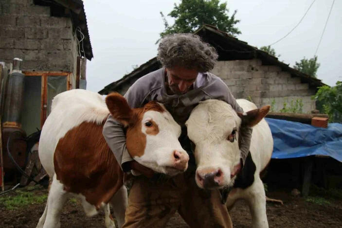 Rizeli  yeni bir tür büyükbaş ırkı üretti