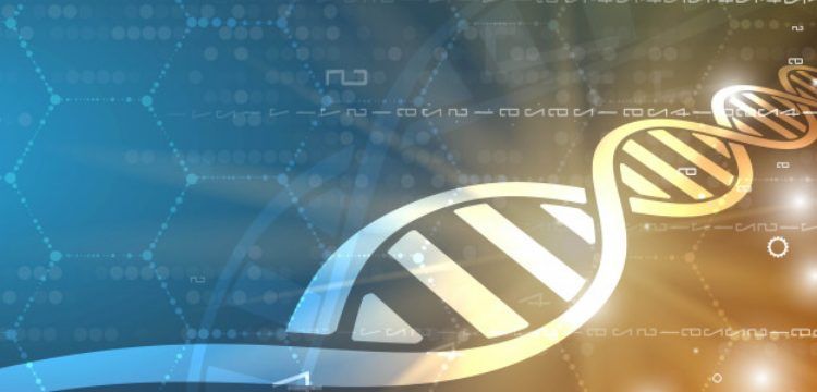 Bilinen tüm insanları kapsayan güncellenmiş DNA haritası yayımlandı