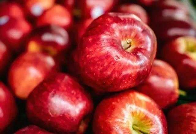 Canan Karatay’dan dağdan toplanmış kurtlu elma önerisi!