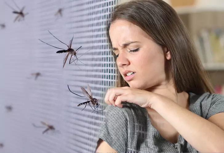 Evinizdeki sineklerden tamamen kurtulmanızı sağlayacak doğal sinek kovucu yöntemler