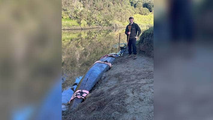 153 yıl saklandıktan sonra Yeni Zelanda Nehri’nden çıkarılan nadir waka