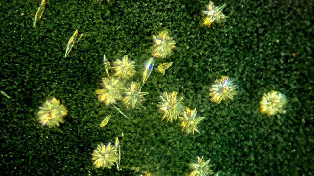 Türk fizikçiden çığır açan keşif