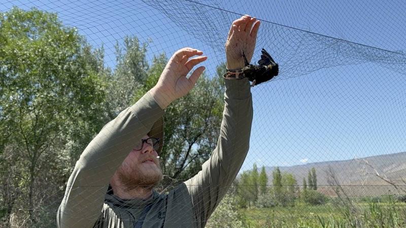 Aras Kuş Cenneti’nde sazlıklar yandı kuş sayısı düştü