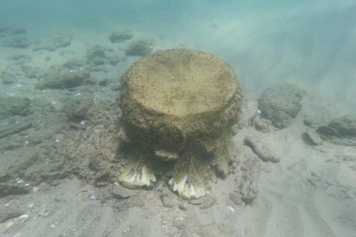 İsrail’de 40 Ton Mermer Sütun Taşıyan Batık Keşfedildi