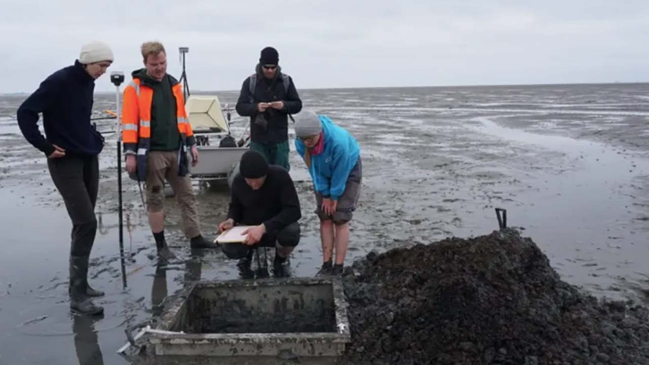 Okyanus Tarafından Yutulan Bir Şehrin İzleri, Yüzyıllar Sonra İlk Kez Bulundu
