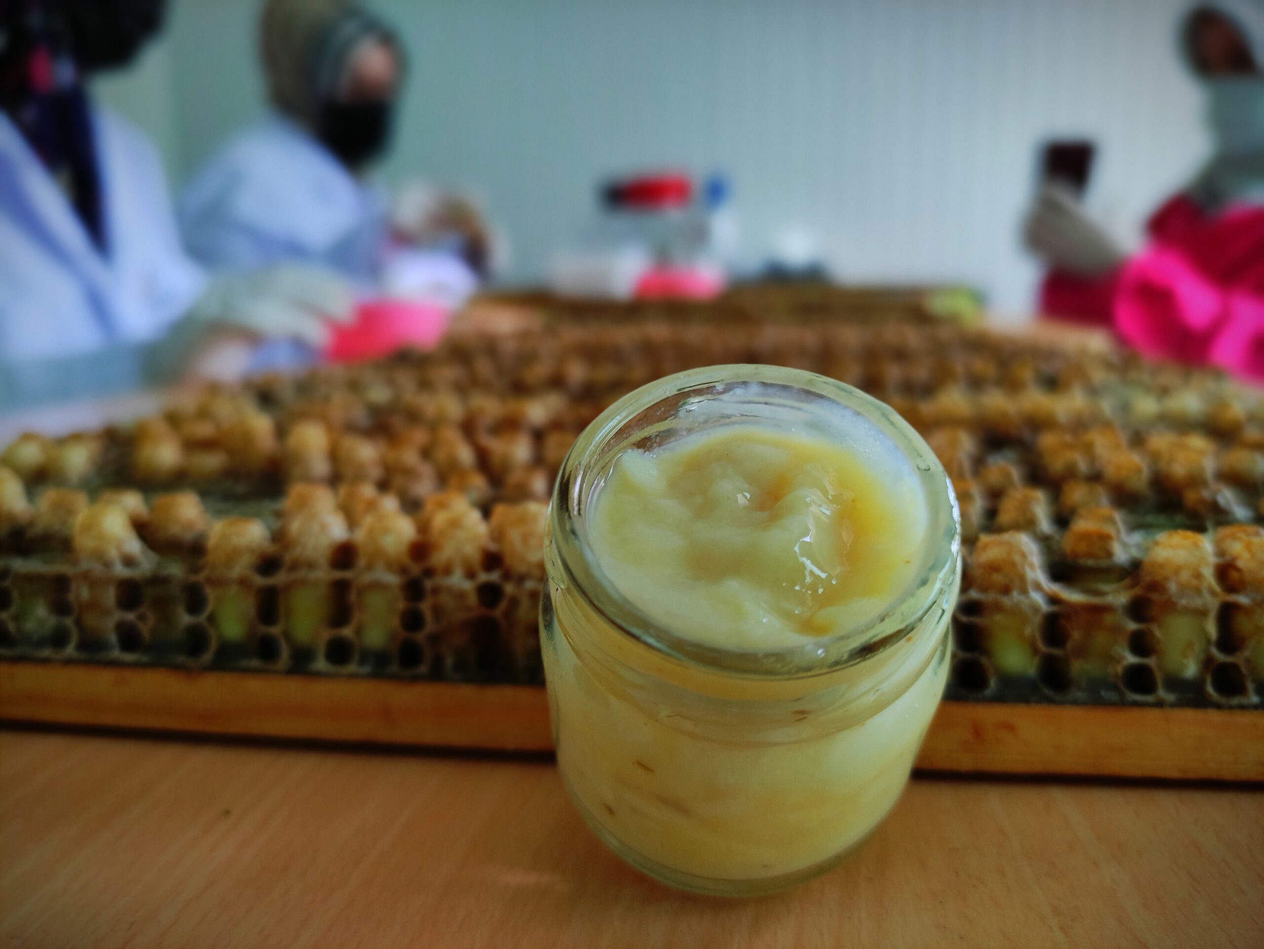 ‘Beyaz Altın’ kilosu 15 Bin Liradan Satılıyor