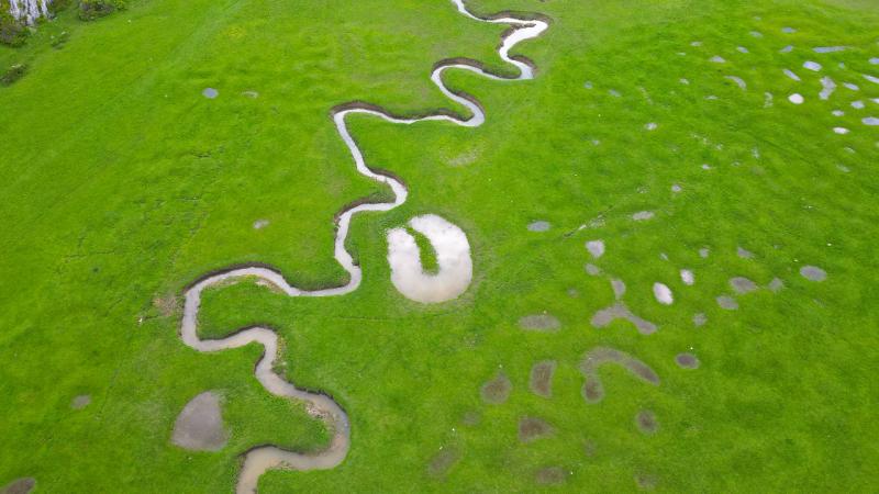 Kıvrımlı yapısıyla yeşile ahenk kattı, Karagöl Yaylası’nı şenlendirdi