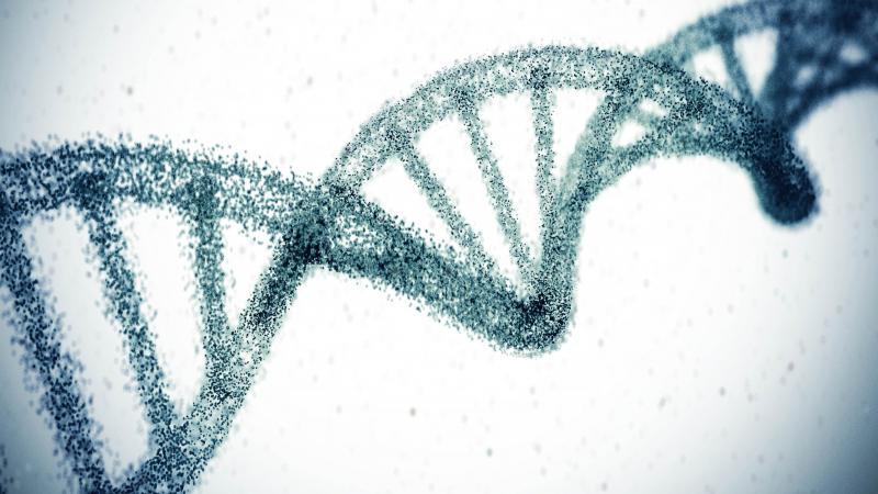 Sporcuların başarısı fiziksel özellikler kadar genlerde gizli