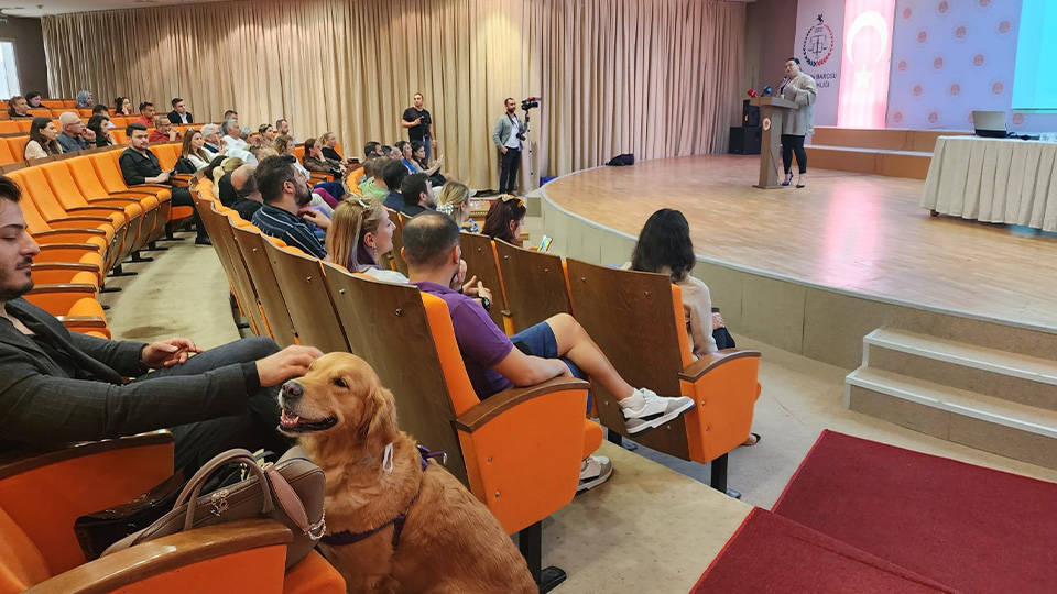 Samsun Barosundan Hayvan Hakları Çalıştayı