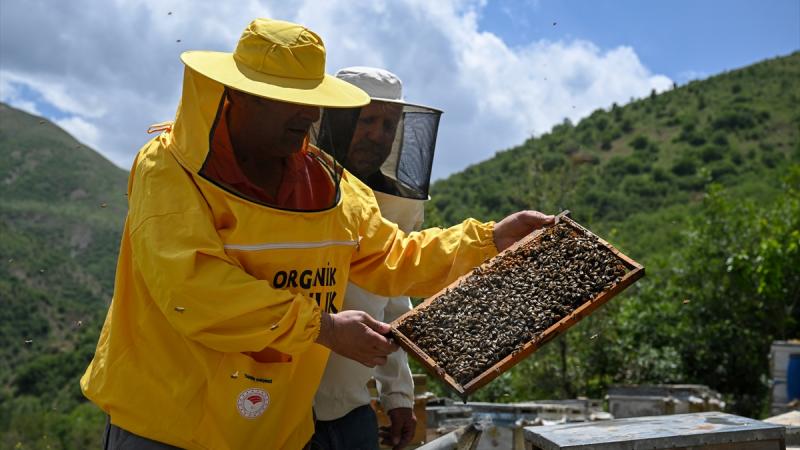 Bitlis balı Londra’daki yarışmada “Altın Bal” ödülünü aldı