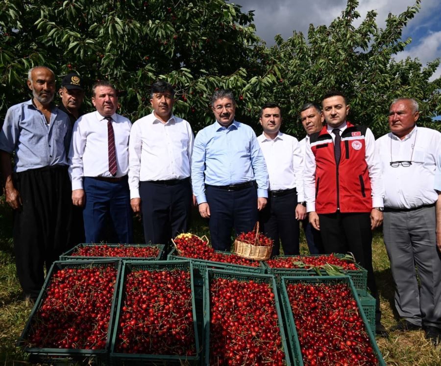 Osmaniye’nin Bahçe ilçesinde yılın ilk kiraz hasadı Vali Erdinç Yılmaz’ın katılımıyla gerçekleştirildi.