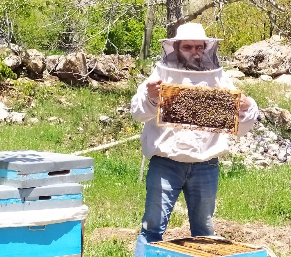 Antalya’da Arı Kovanları Yaylalara Taşınıyor
