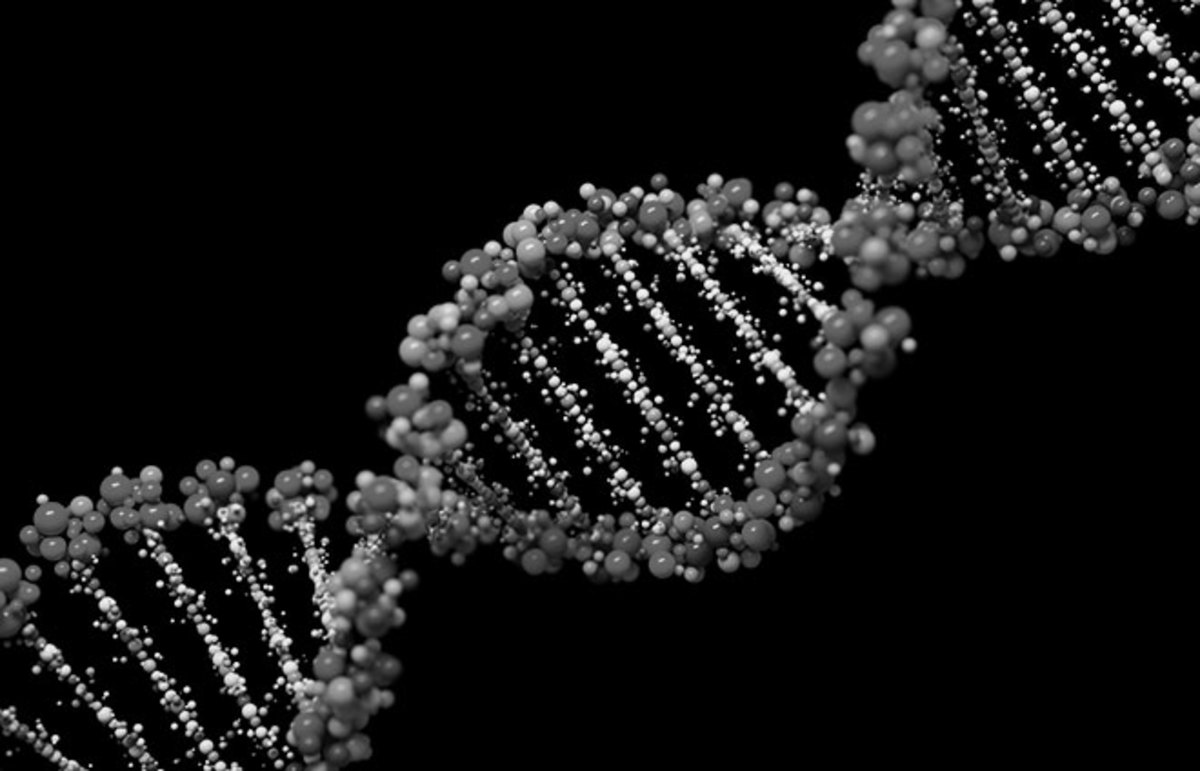 Madem Hücrelerimiz Sürekli Yenileniyor O Zaman Neden Yaşlanıyoruz?